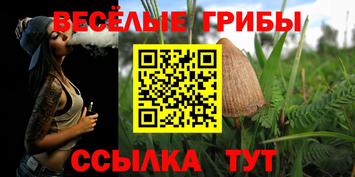 Псилоцибиновые грибы Magic Shrooms Клинцы
