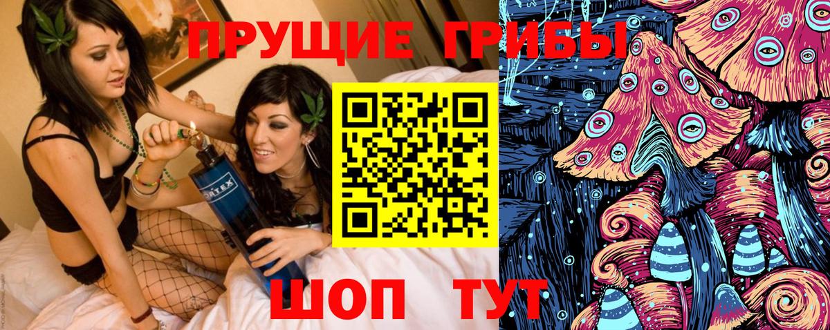 Клинцы  Галлюциногенные грибы MAGIC MUSHROOMS  Вход с VPN 